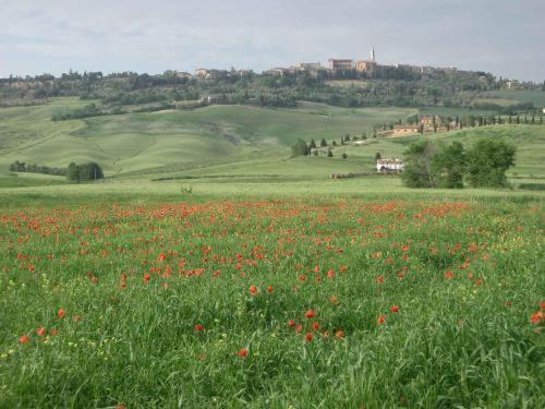 Agriturismo Colombaiolo Pienza Exteriér fotografie