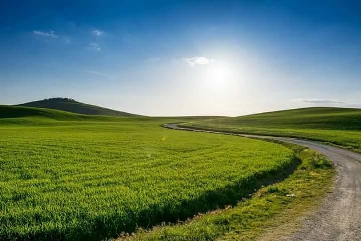 Agriturismo Colombaiolo Pienza Exteriér fotografie